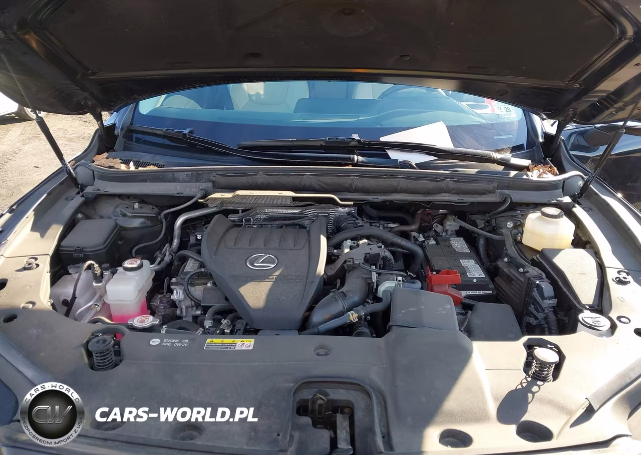 2024 Lexus Rx 350 Premium VIN:2T2BAMCAXRC055460 - 10