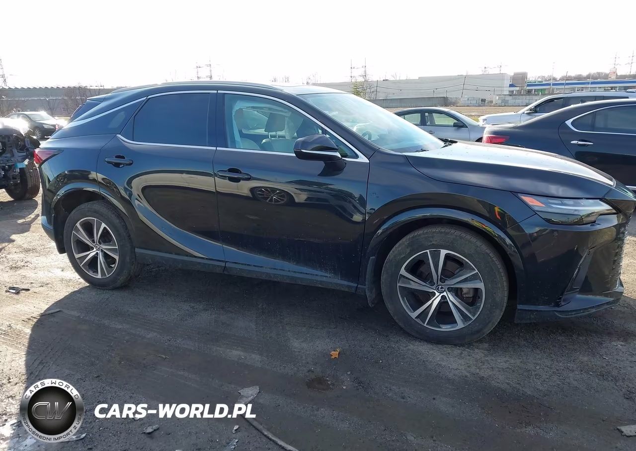 2024 Lexus Rx 350 Premium VIN:2T2BAMCAXRC055460 - 13