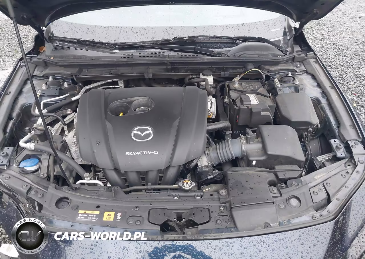 2019 Mazda Mazda3 Premium Package VIN:JM1BPBNM7K1138353 - 10