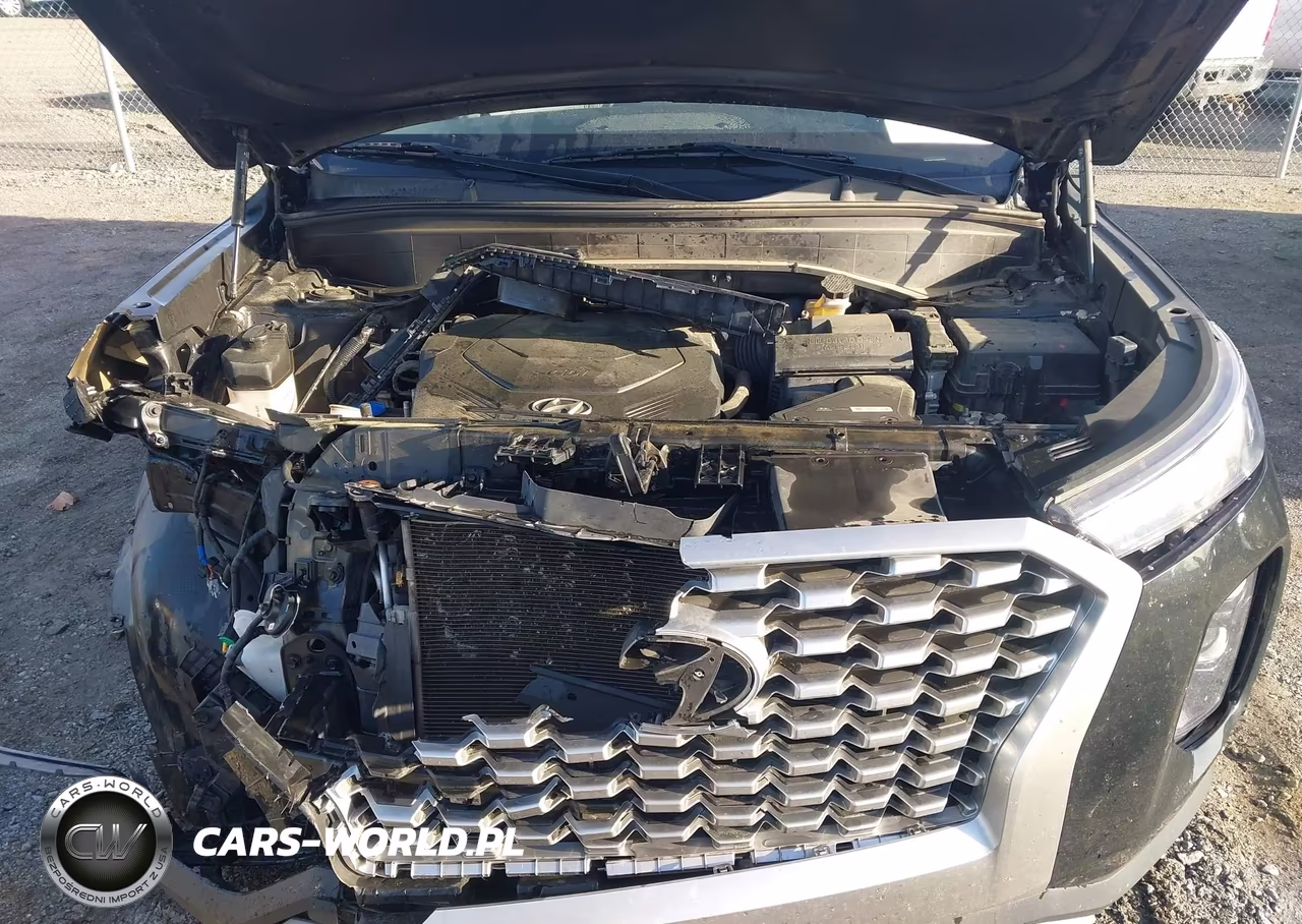 2021 Hyundai Palisade Se VIN:KM8R14HE8MU272026 - 10
