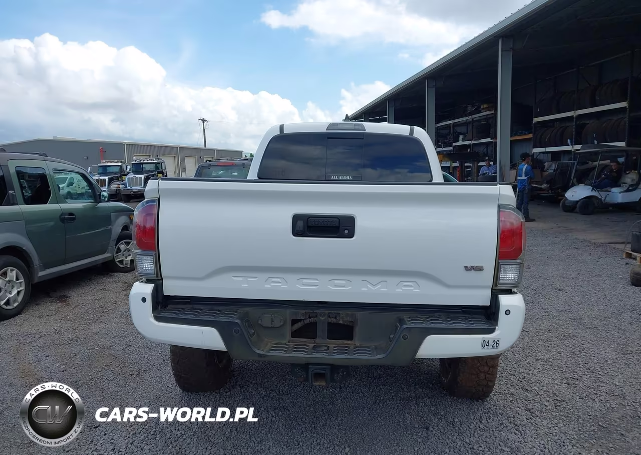 2020 Toyota Tacoma Trd Sport VIN:5TFDZ5BN3LX050447 - 17