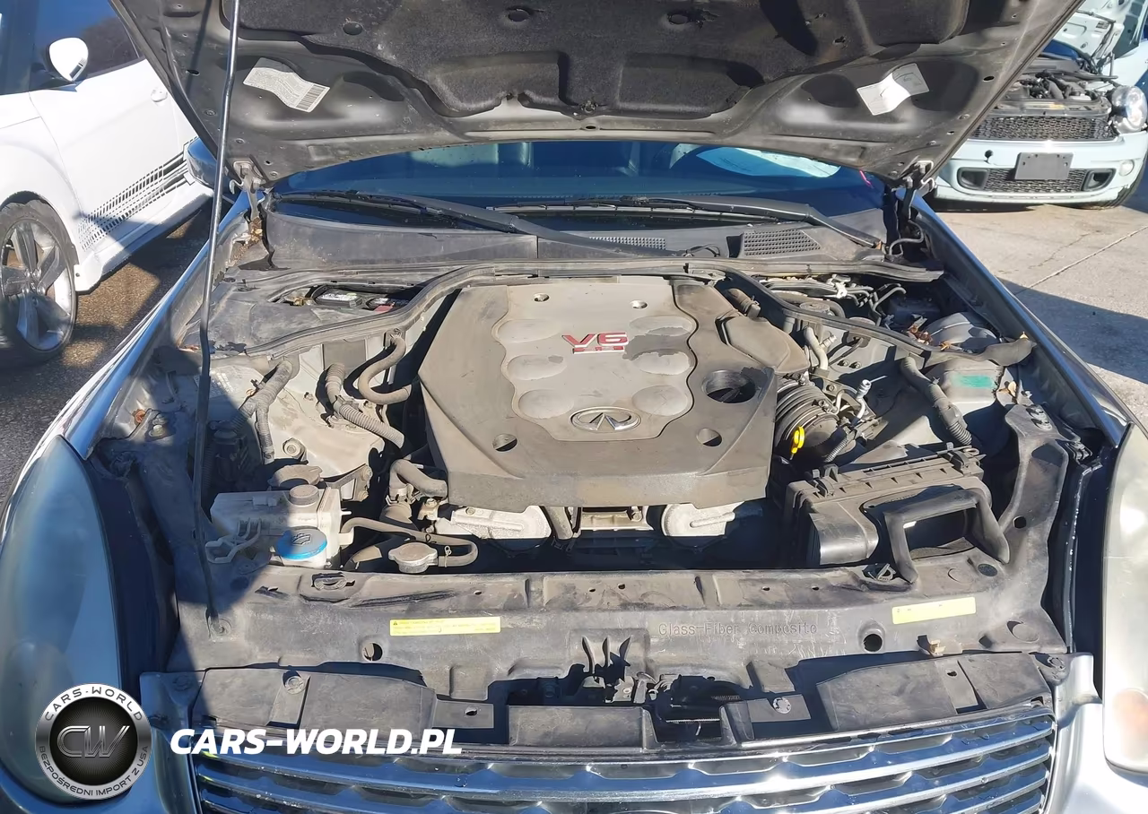 2004 Infiniti G35 VIN:JNKCV54E74M805976 - 10
