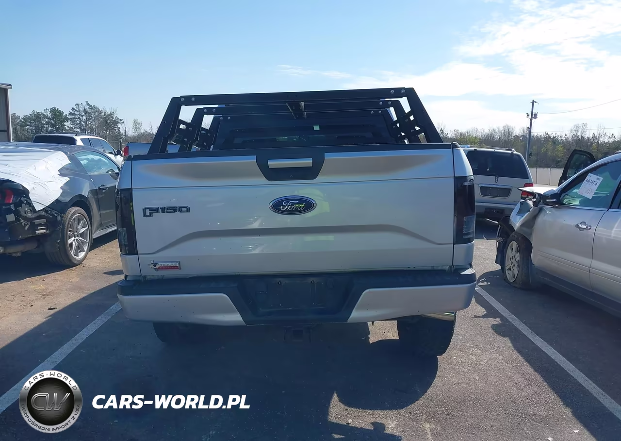 2016 Ford F-150 Lariat-Xl-Xlt VIN:1FTEW1EP9GKF96563 - 16