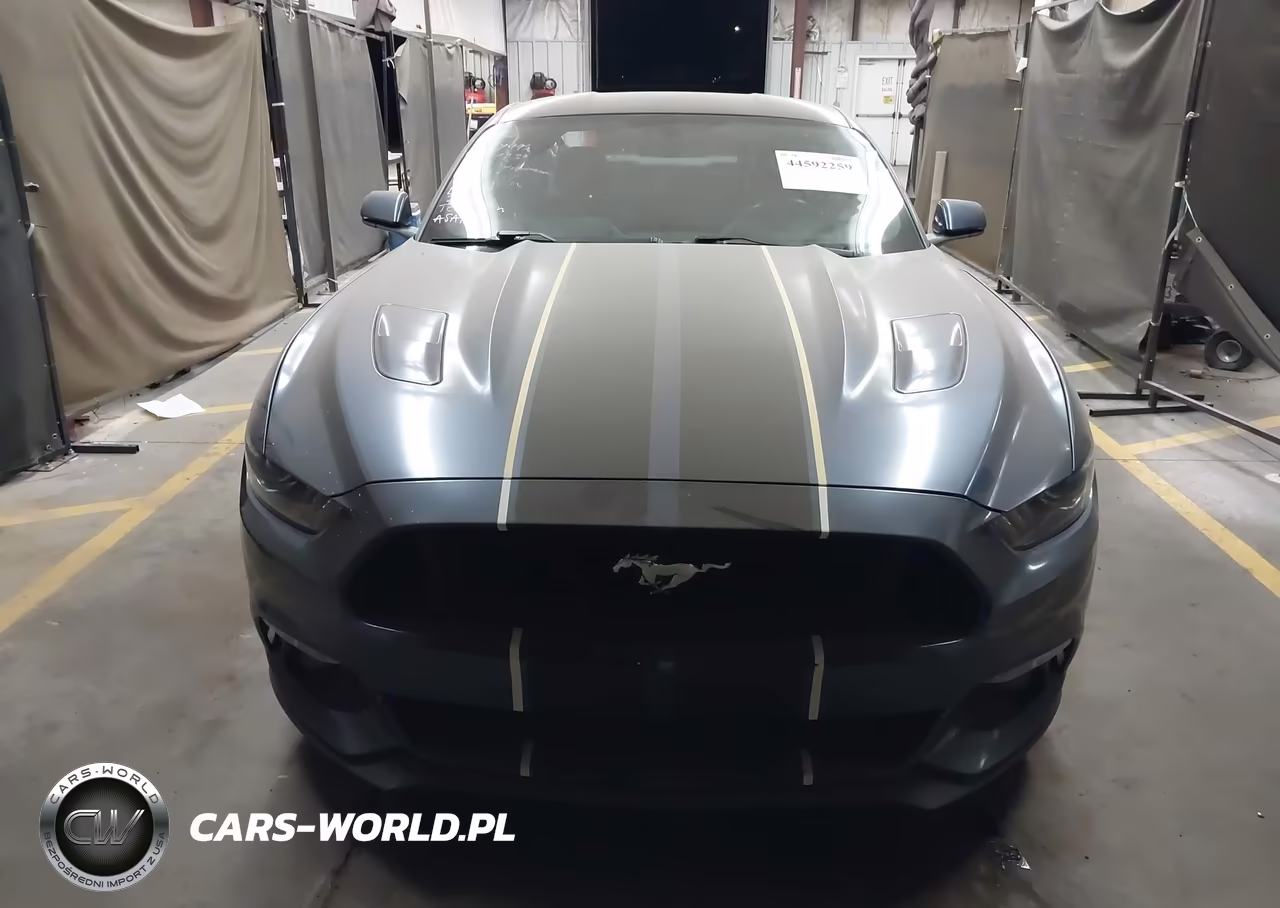 2016 Ford Mustang Gt VIN:1FA6P8CFXG5212038 - 13