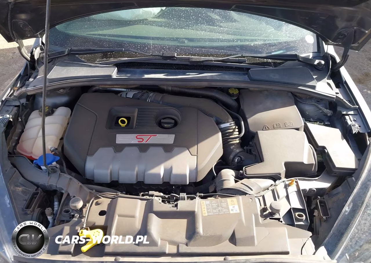 2018 Ford Focus St VIN:1FADP3L93JL247107 - 10