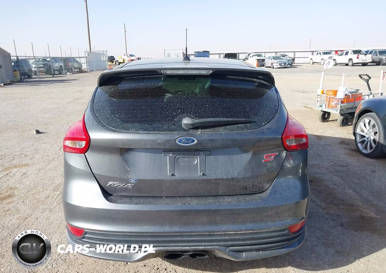 2018 Ford Focus St VIN:1FADP3L93JL247107 - 17