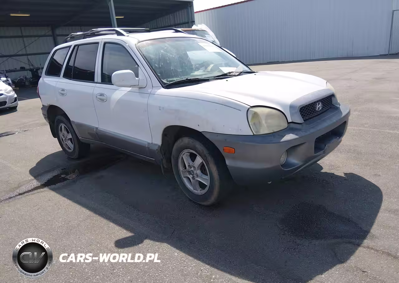 2004 Hyundai Santa Fe Gls-Lx