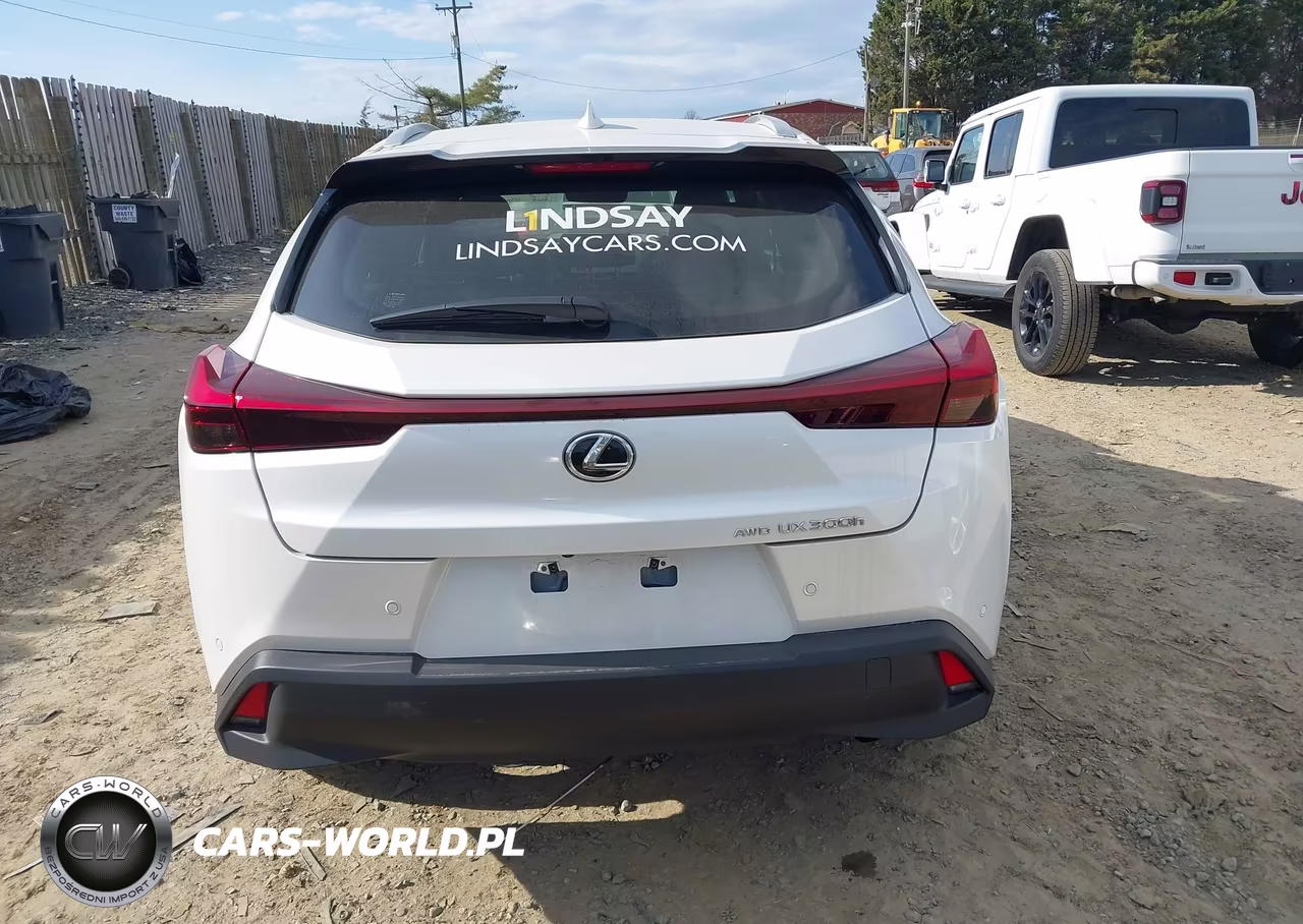 2025 Lexus Ux 300H Premium VIN:JTHUCJDH5S2008745 - 17
