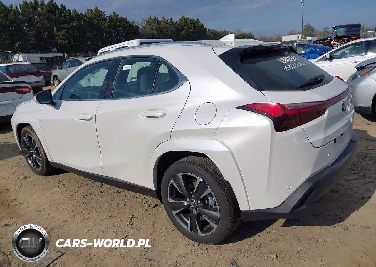 2025 Lexus Ux 300H Premium VIN:JTHUCJDH5S2008745 - 3