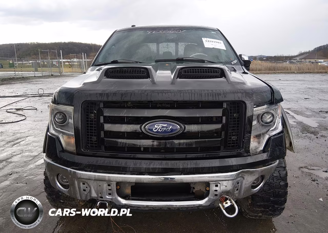 2014 Ford F-150 Fx4-King Ranch-Lariat-Platinum-Stx-Xl-Xlt VIN:1FTFW1EF8EKE59980 - 12