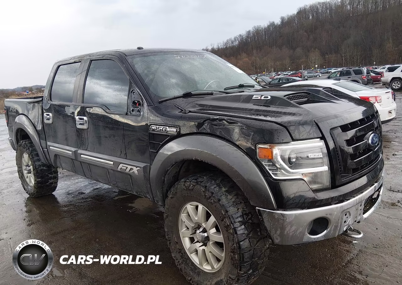 2014 Ford F-150 Fx4-King Ranch-Lariat-Platinum-Stx-Xl-Xlt VIN:1FTFW1EF8EKE59980 - 6