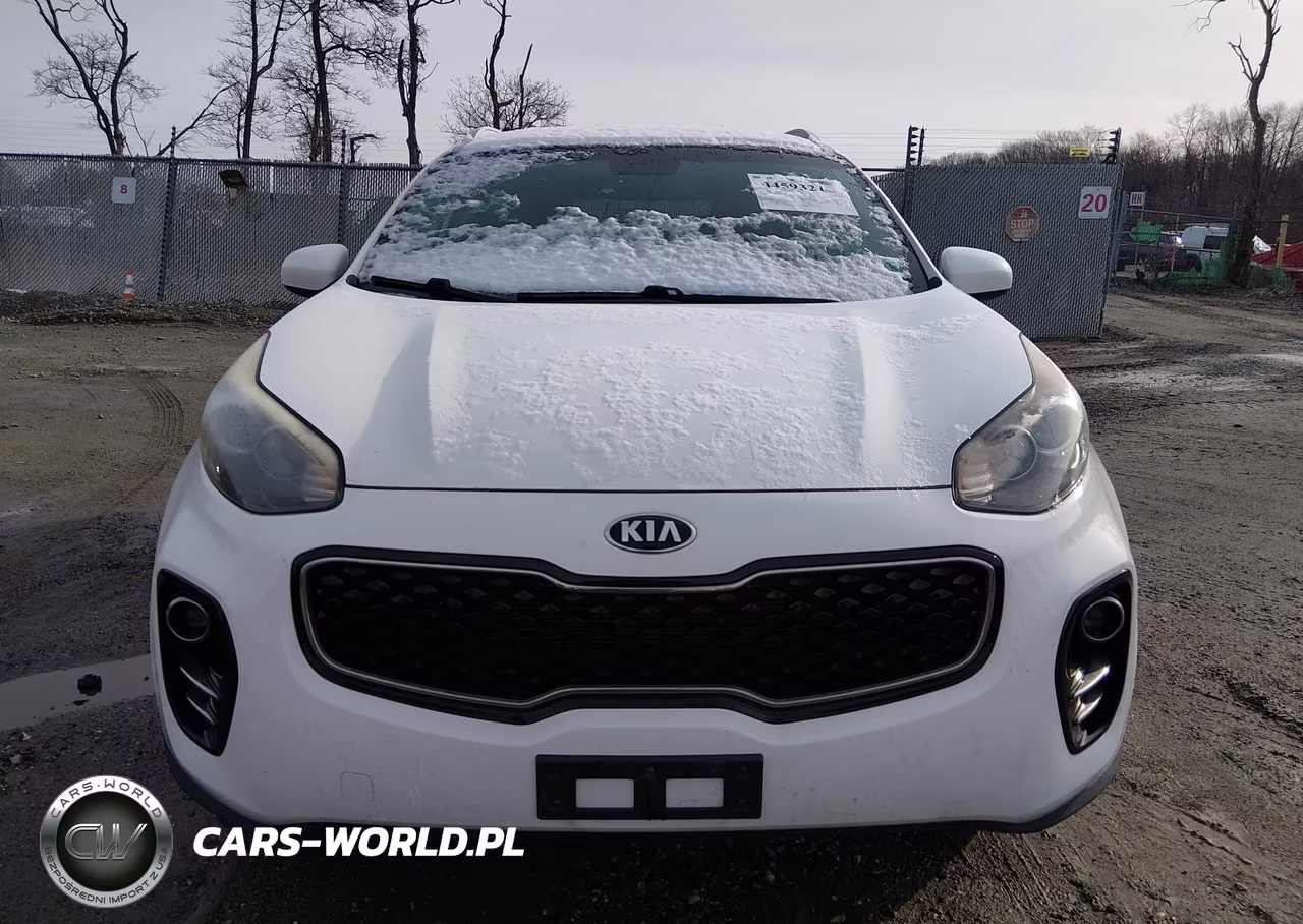 2019 Kia Sportage Lx VIN:KNDPMCAC0K7495131 - 12