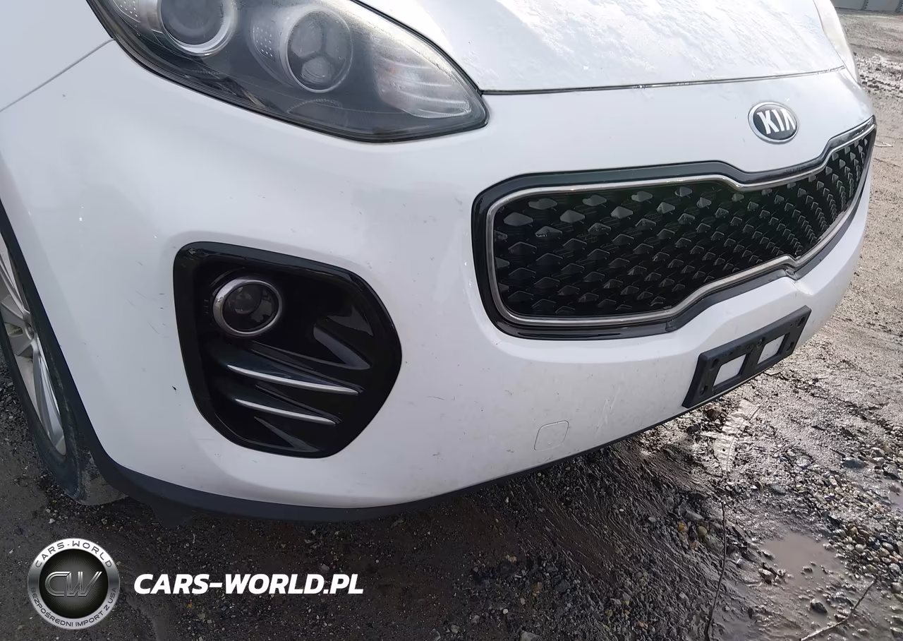 2019 Kia Sportage Lx VIN:KNDPMCAC0K7495131 - 18