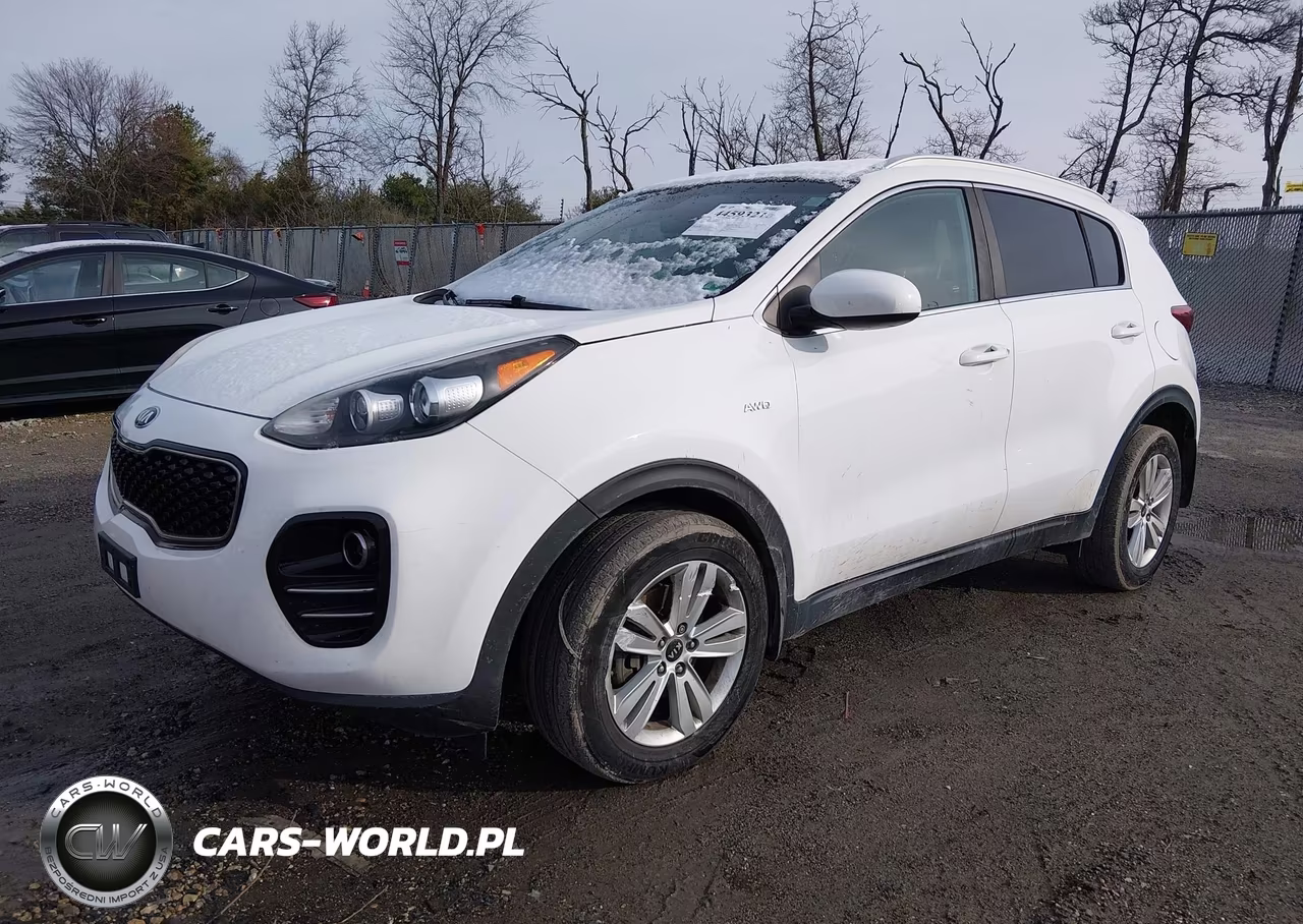 2019 Kia Sportage Lx VIN:KNDPMCAC0K7495131 - 2