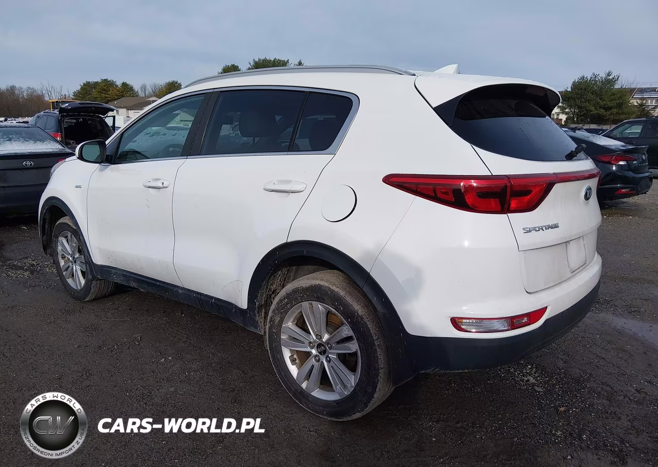 2019 Kia Sportage Lx VIN:KNDPMCAC0K7495131 - 3