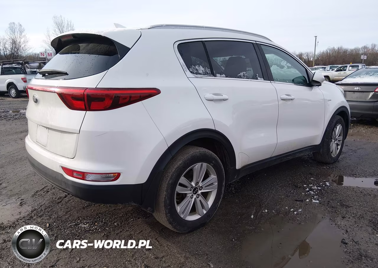 2019 Kia Sportage Lx VIN:KNDPMCAC0K7495131 - 4
