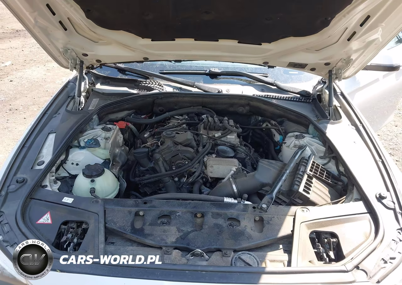 2015 BMW 528I xDrive VIN:WBA5A7C56FG143048 - 10