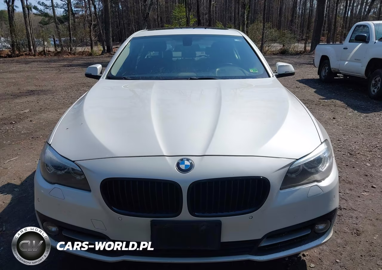 2015 BMW 528I xDrive VIN:WBA5A7C56FG143048 - 12