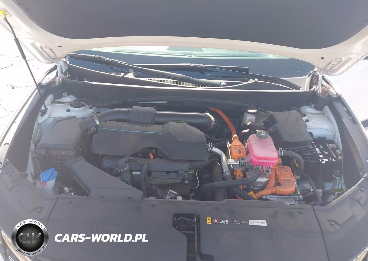 2024 Hyundai Tucson Hybrid Sel Convenience VIN:KM8JCCD12RU185864 - 10