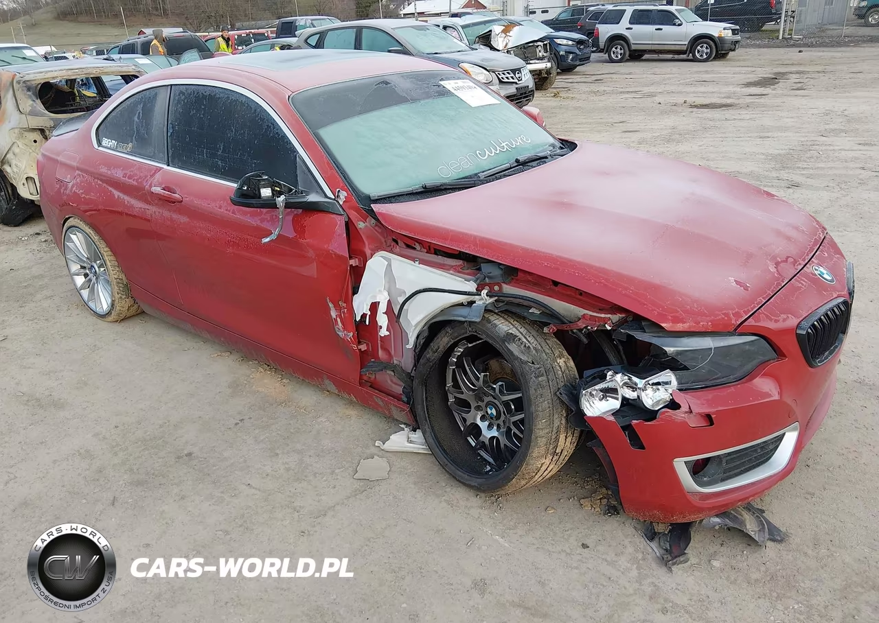2014 BMW 228I