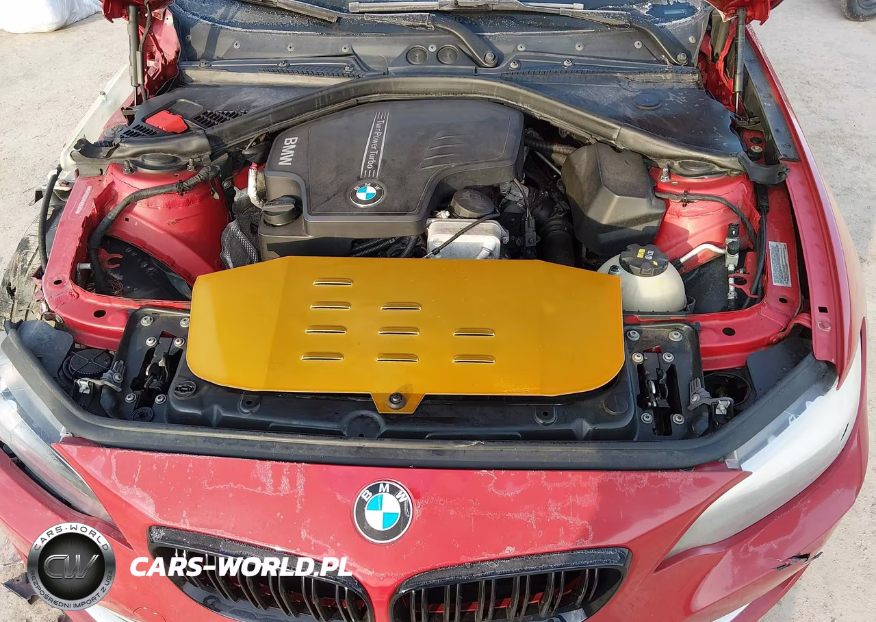 2014 BMW 228I VIN:WBA1F5C54EV255913 - 10
