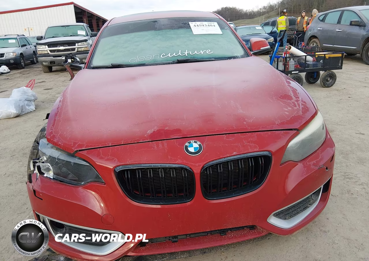 2014 BMW 228I VIN:WBA1F5C54EV255913 - 12