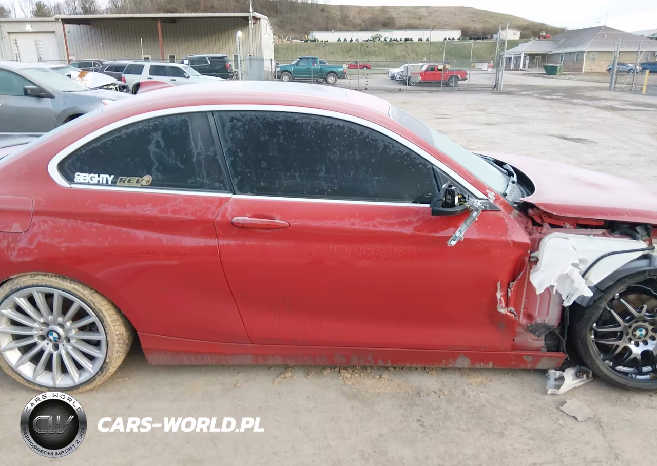 2014 BMW 228I VIN:WBA1F5C54EV255913 - 13