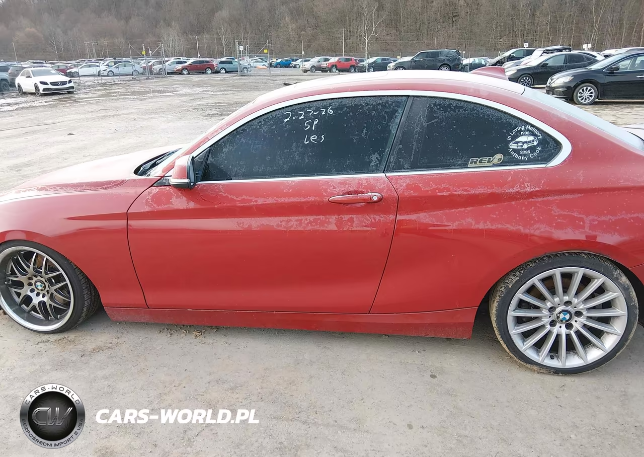 2014 BMW 228I VIN:WBA1F5C54EV255913 - 14