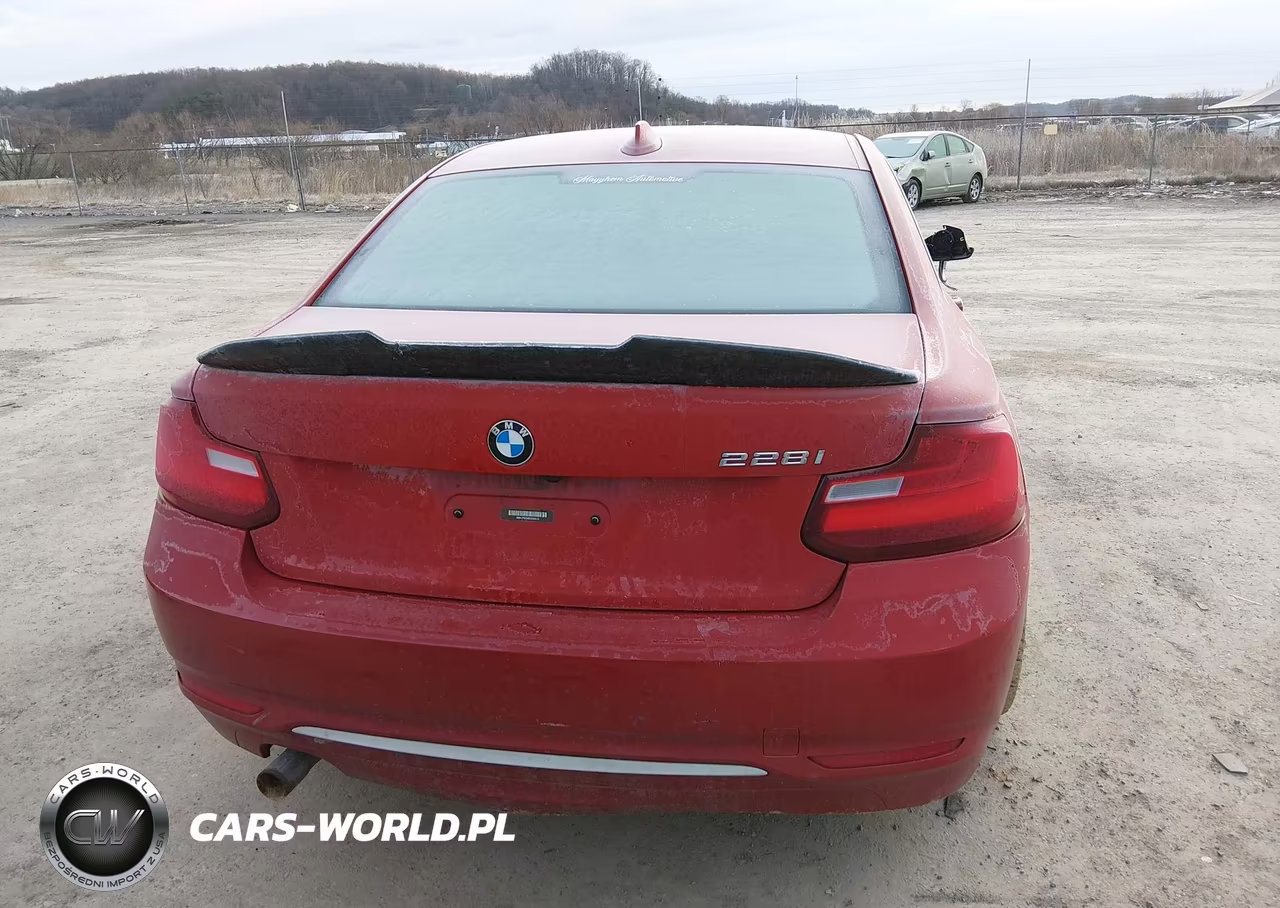 2014 BMW 228I VIN:WBA1F5C54EV255913 - 16