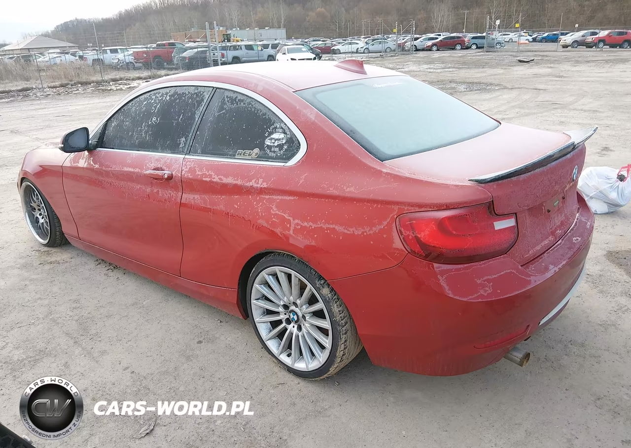 2014 BMW 228I VIN:WBA1F5C54EV255913 - 3