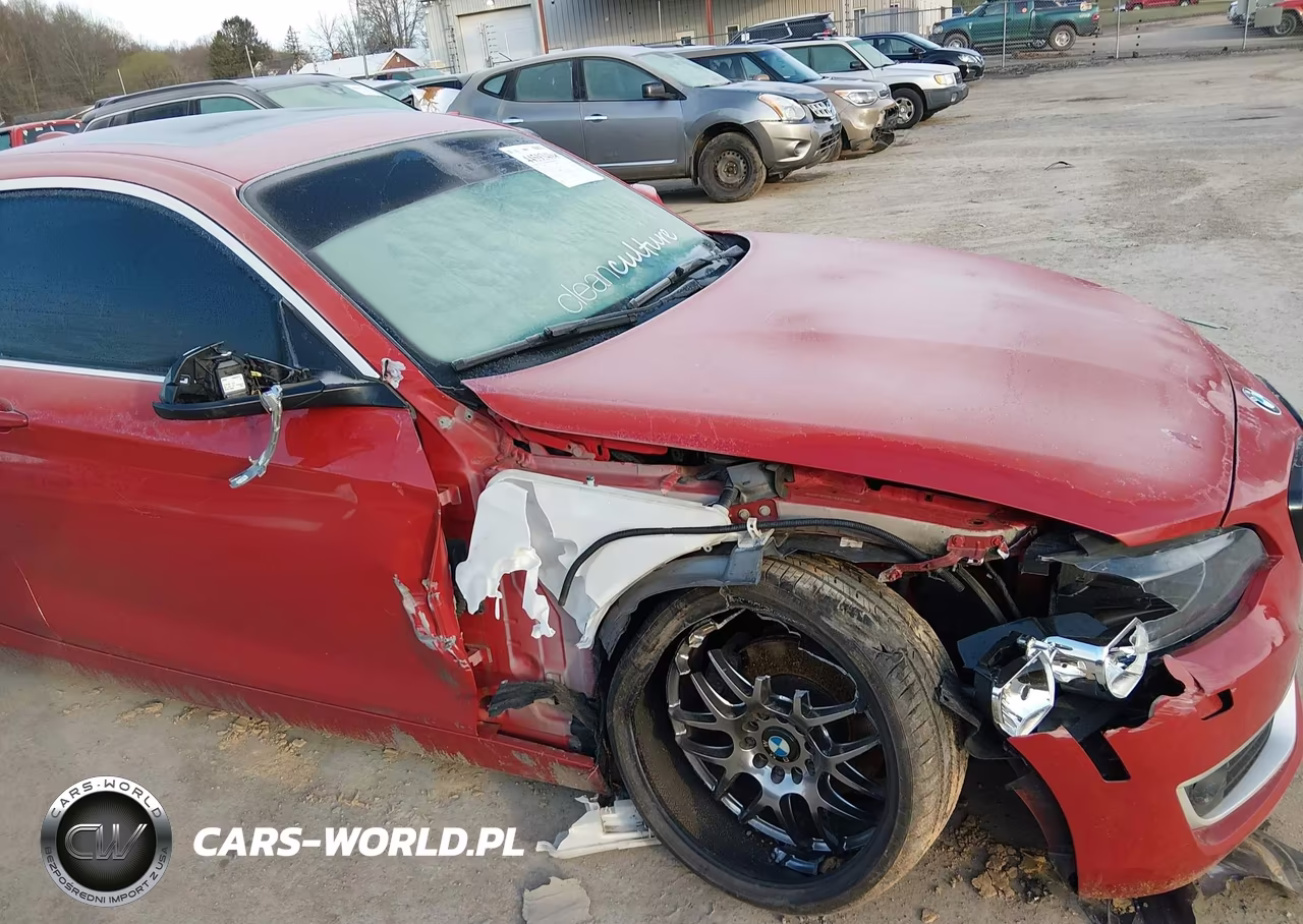 2014 BMW 228I VIN:WBA1F5C54EV255913 - 6