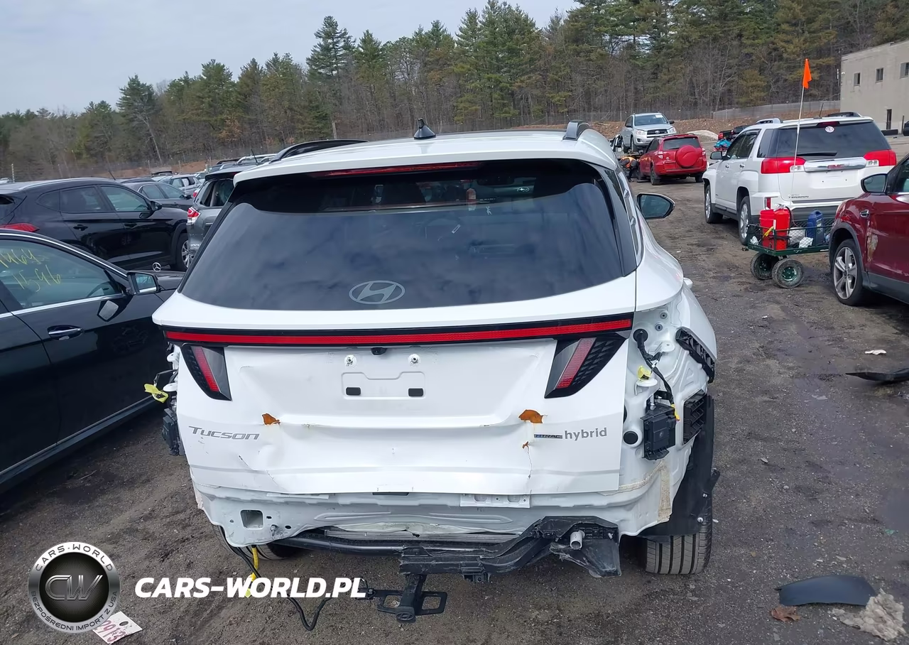 2025 Hyundai Tucson Hybrid Limited VIN:KM8JEDD14SU397803 - 17
