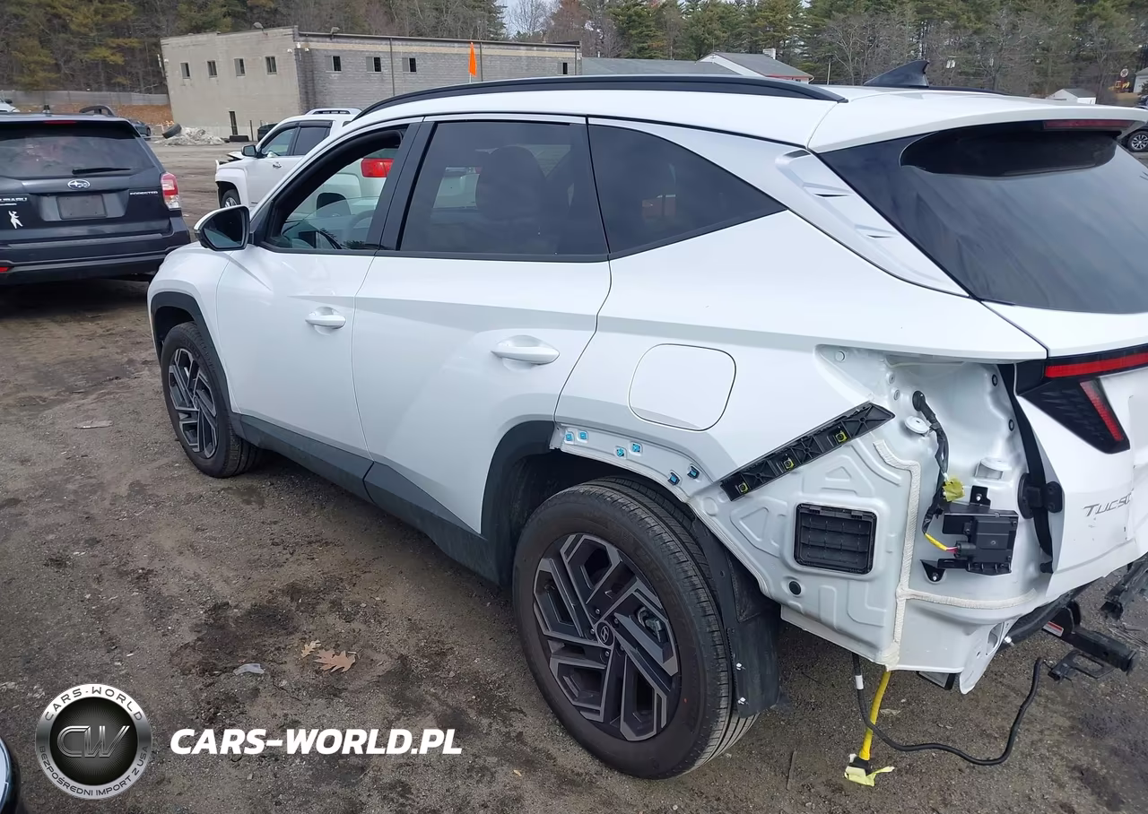 2025 Hyundai Tucson Hybrid Limited VIN:KM8JEDD14SU397803 - 3