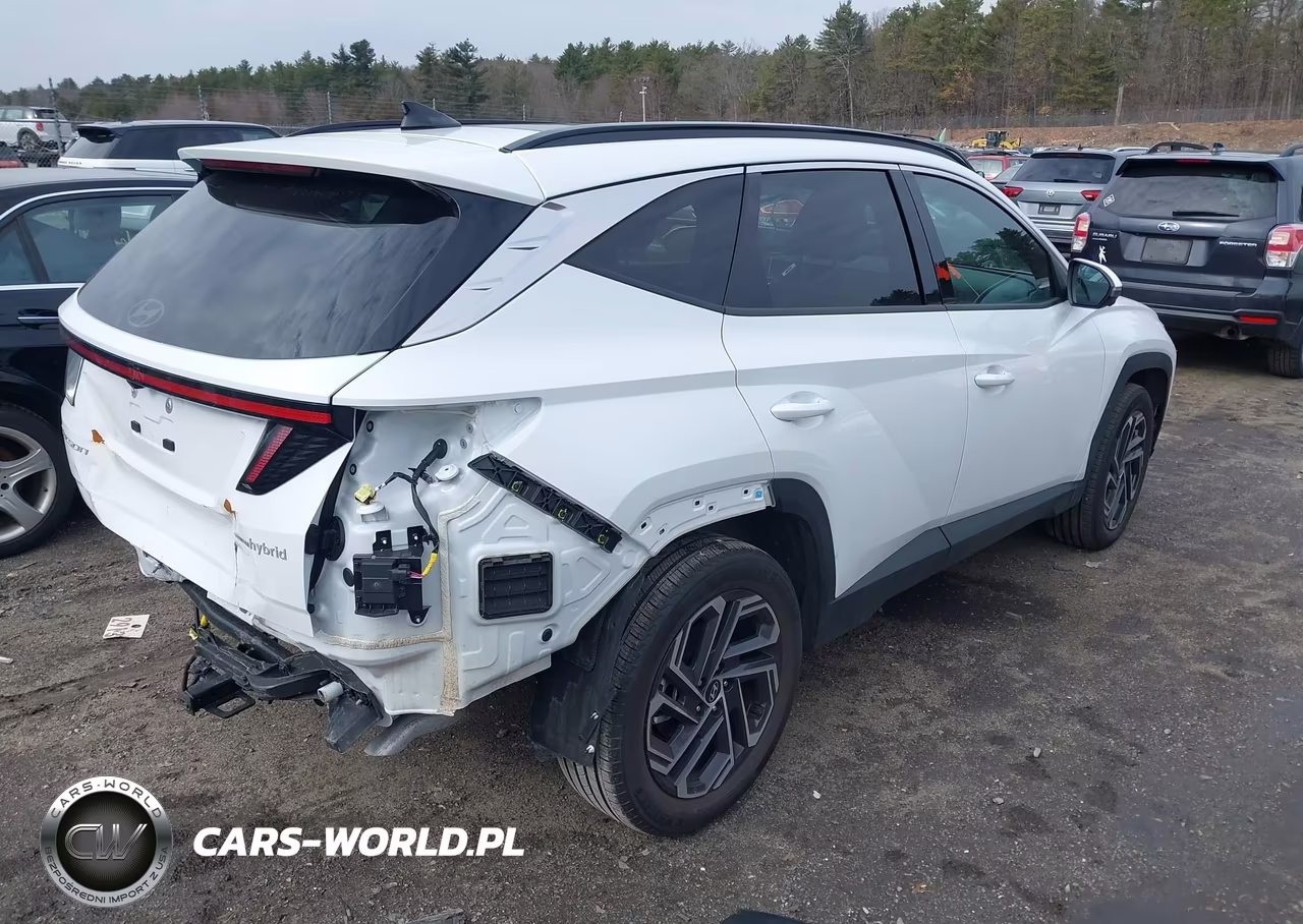 2025 Hyundai Tucson Hybrid Limited VIN:KM8JEDD14SU397803 - 4