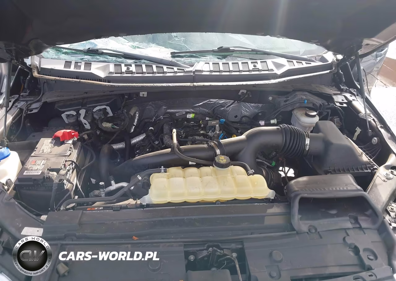 2019 Ford F-150 Xlt VIN:1FTEW1EP5KKC70350 - 10
