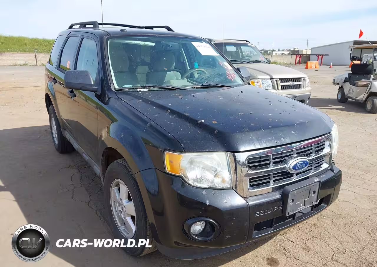 2010 Ford Escape Xlt