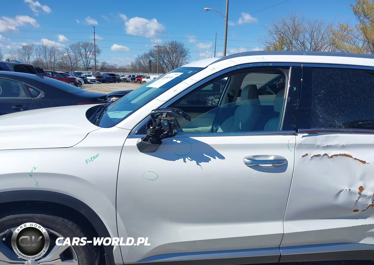 2021 Hyundai Palisade Sel VIN:KM8R44HE9MU314131 - 20