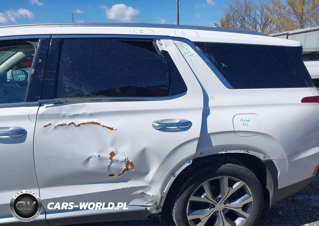 2021 Hyundai Palisade Sel VIN:KM8R44HE9MU314131 - 6