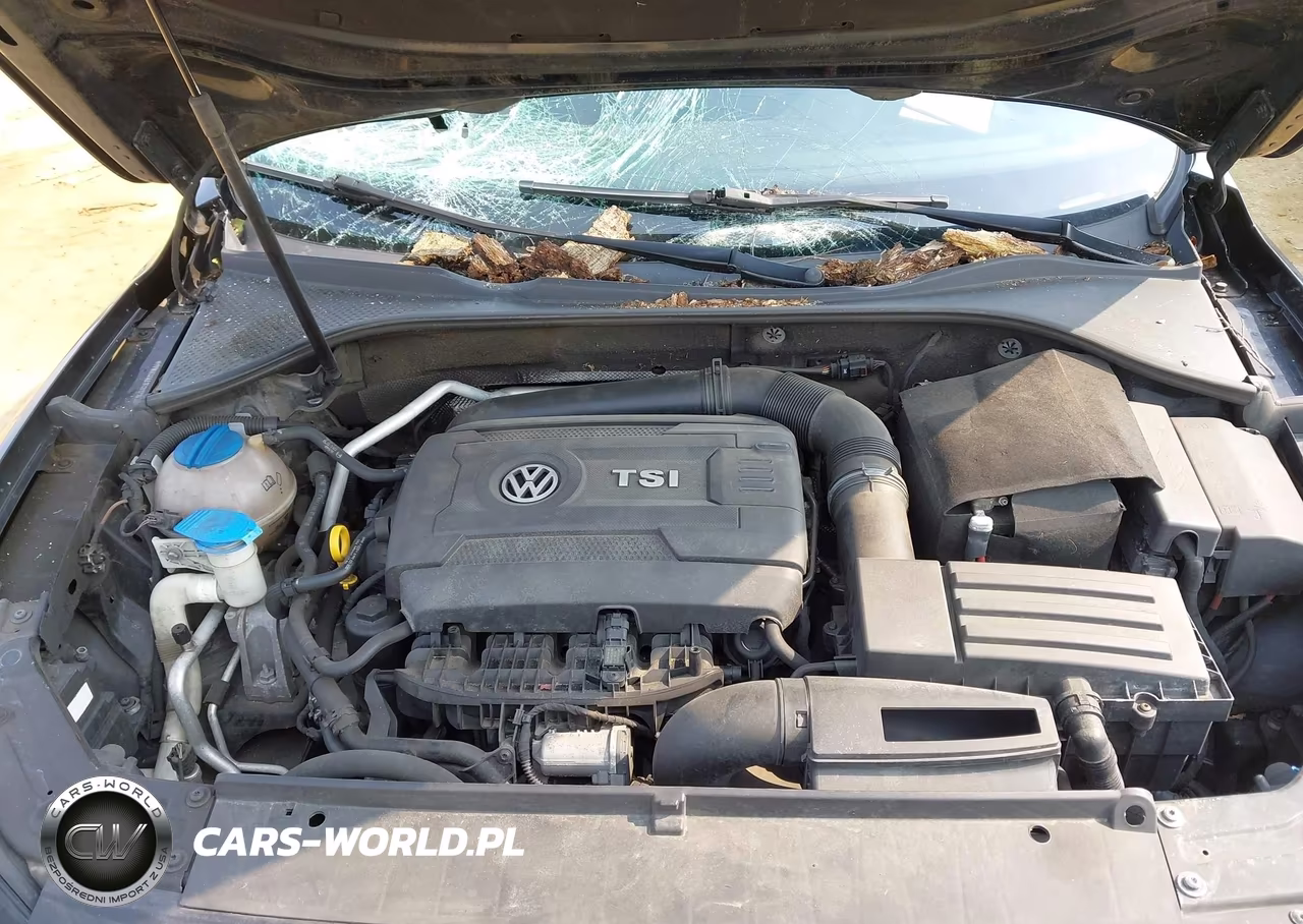 2015 Volkswagen Passat 1.8T S VIN:1VWAT7A31FC017181 - 10