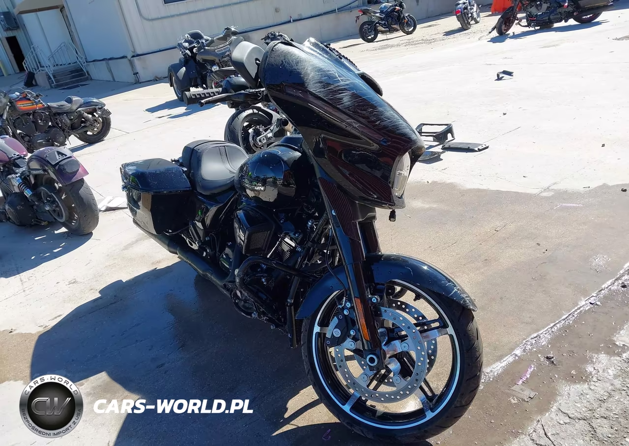 2025 Harley-Davidson Flhx