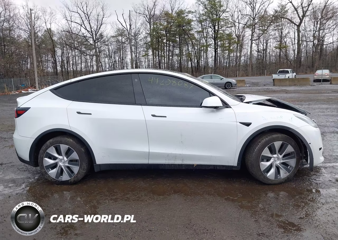 2021 Tesla Model Y Long Range Dual Motor All-Wheel Drive VIN:5YJYGDEE7MF117897 - 13