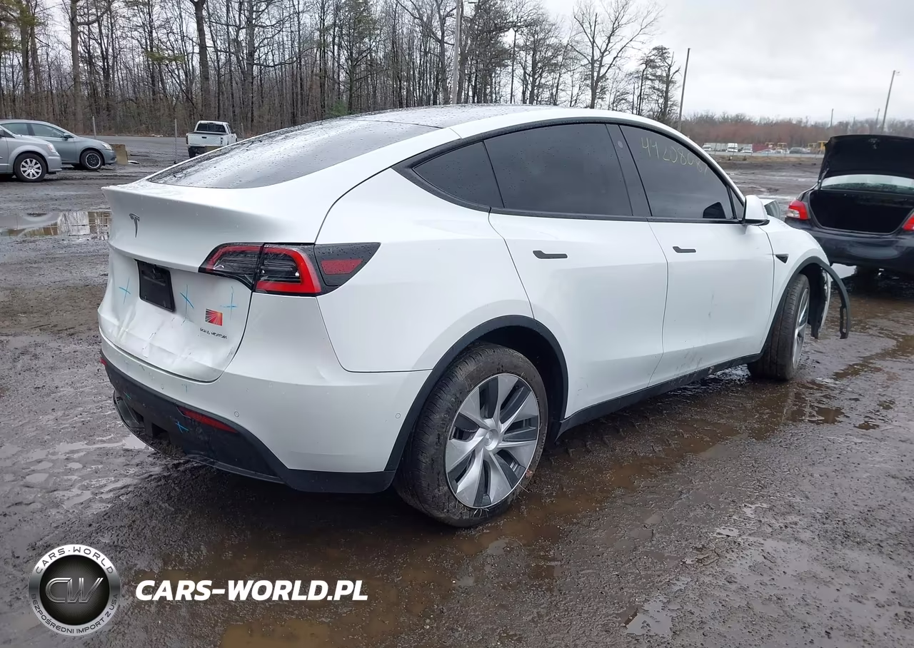 2021 Tesla Model Y Long Range Dual Motor All-Wheel Drive VIN:5YJYGDEE7MF117897 - 4