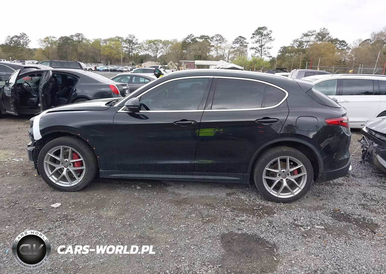 2019 Alfa Romeo Stelvio Ti Lusso Awd VIN:ZASPAKBN9K7C44280 - 15