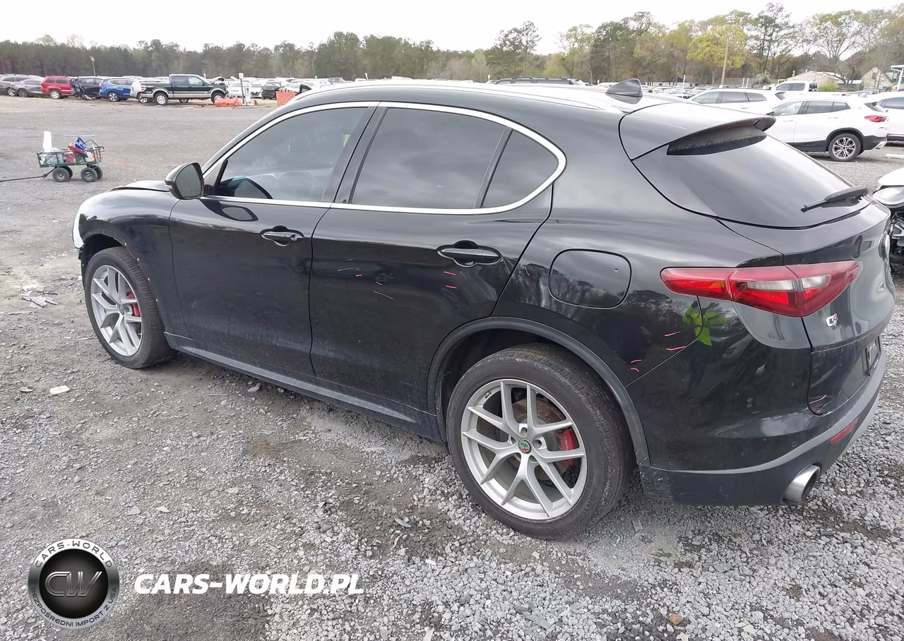 2019 Alfa Romeo Stelvio Ti Lusso Awd VIN:ZASPAKBN9K7C44280 - 3