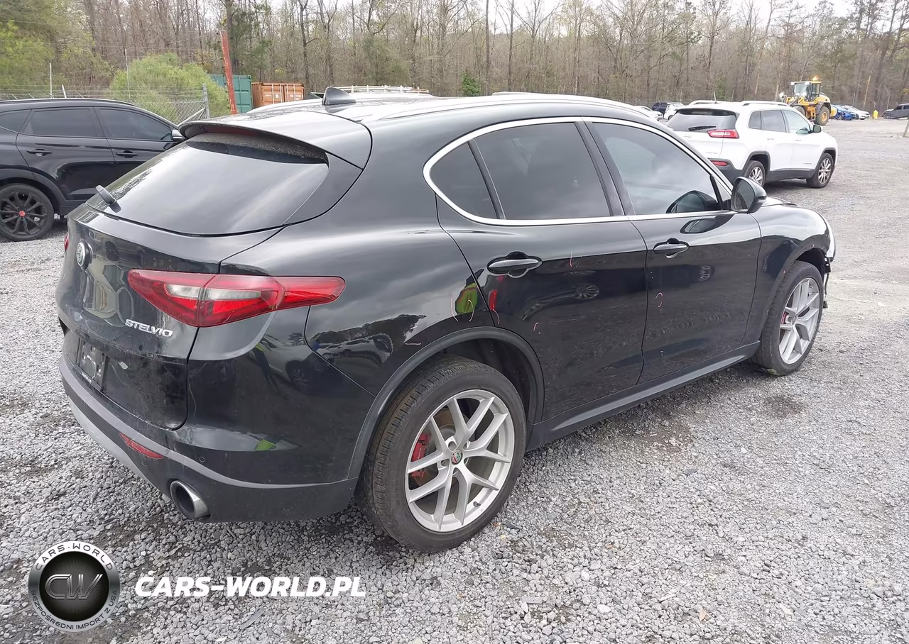 2019 Alfa Romeo Stelvio Ti Lusso Awd VIN:ZASPAKBN9K7C44280 - 4