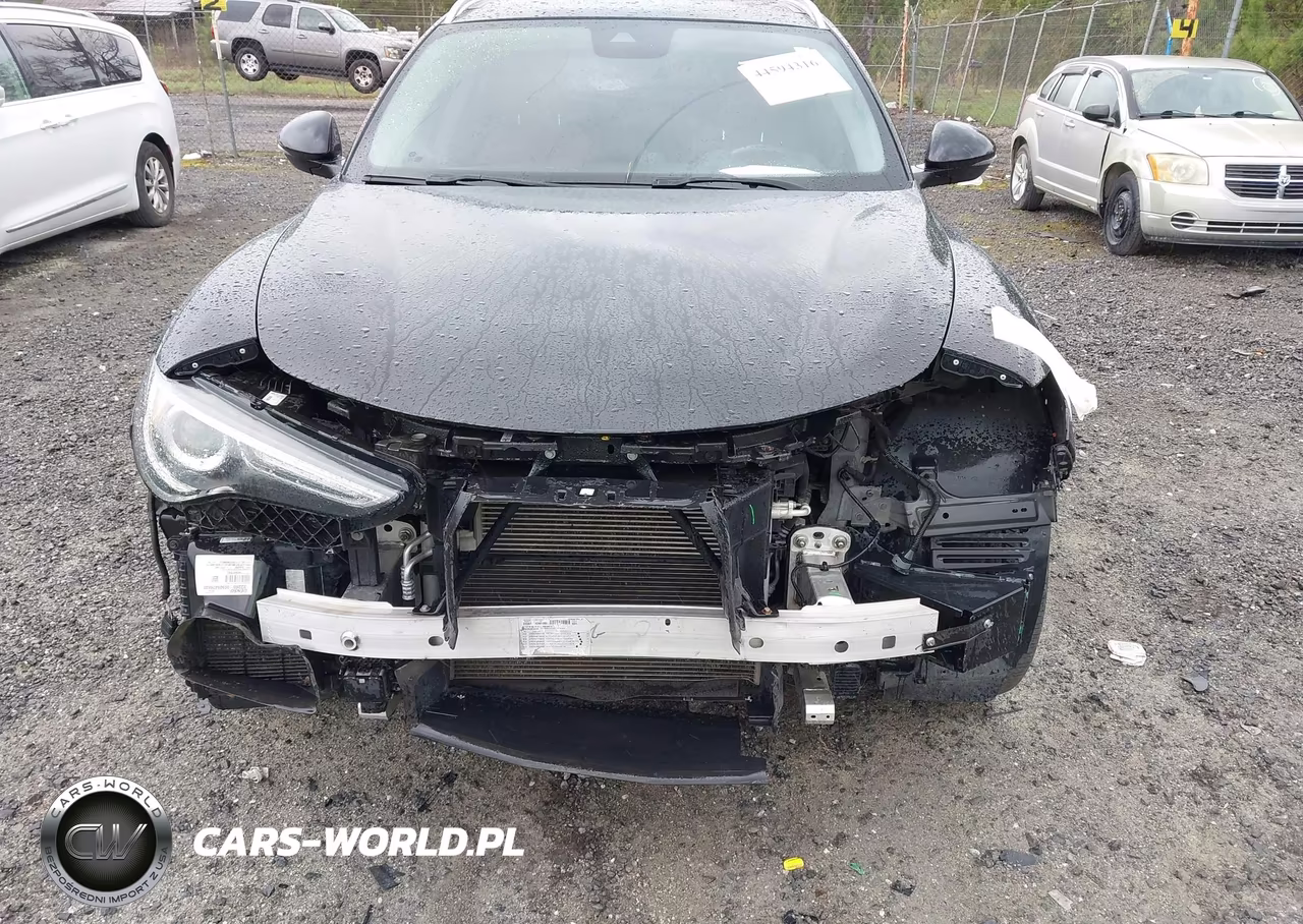 2019 Alfa Romeo Stelvio Ti Lusso Awd VIN:ZASPAKBN9K7C44280 - 6