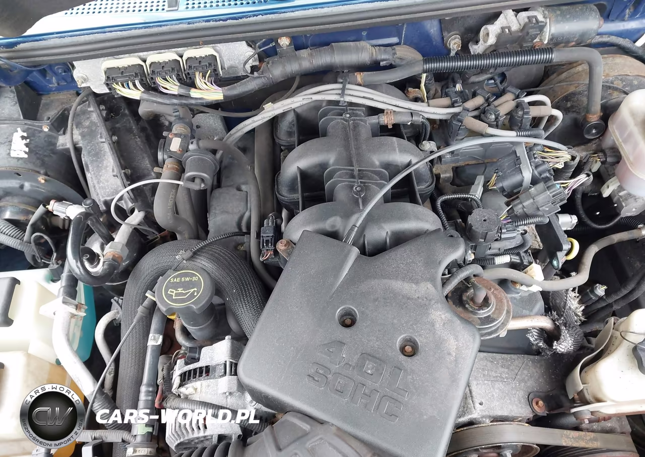 2007 Ford Ranger Fx4 Level Ii-Fx4 Off-Road-Sport-Xlt VIN:1FTZR45EX7PA02803 - 10