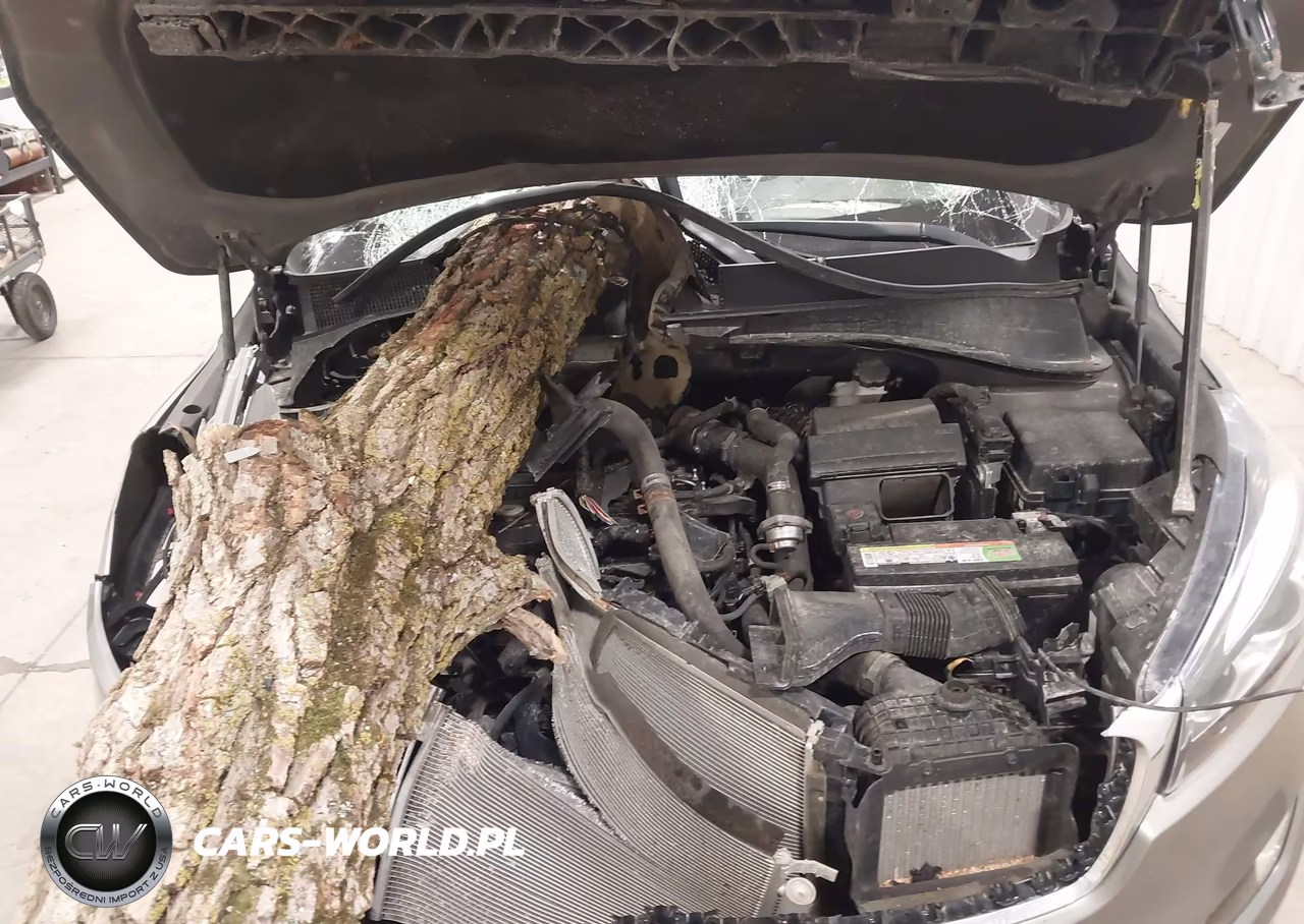 2016 Kia Sorento 2.0T Ex VIN:5XYPHDA11GG029422 - 10