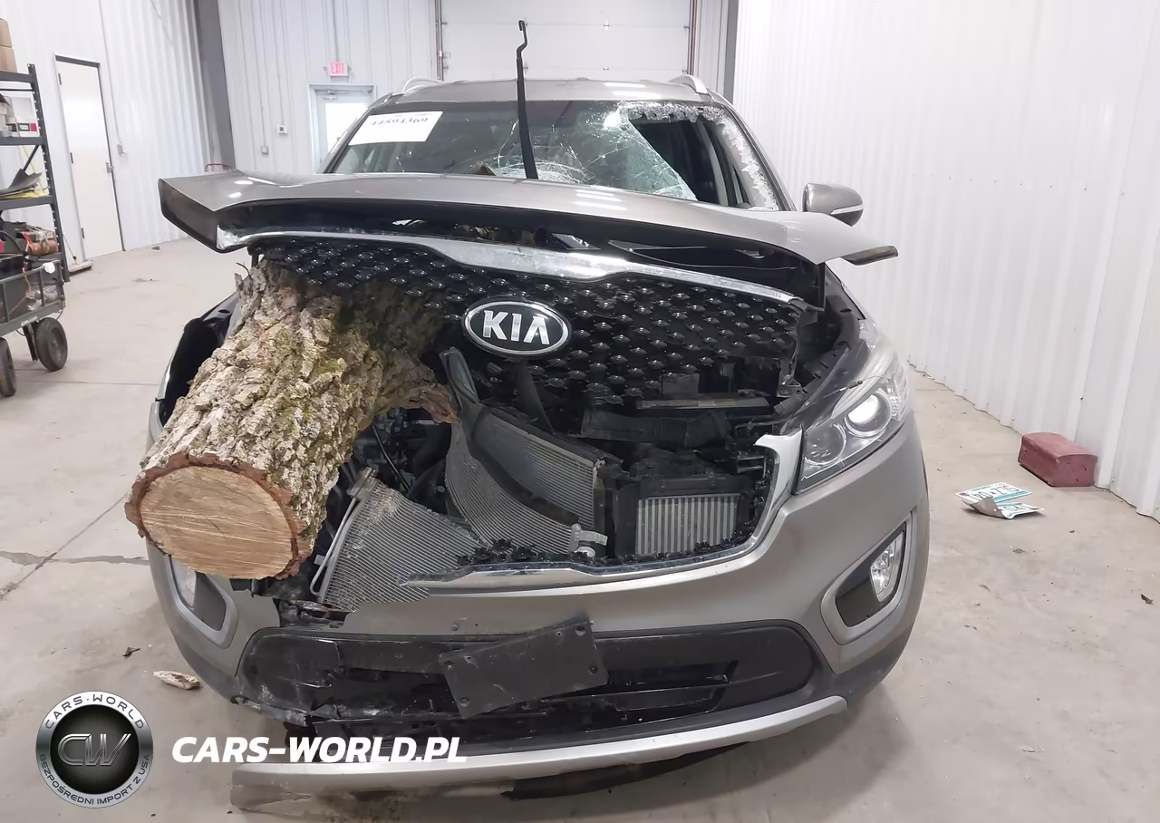 2016 Kia Sorento 2.0T Ex VIN:5XYPHDA11GG029422 - 13