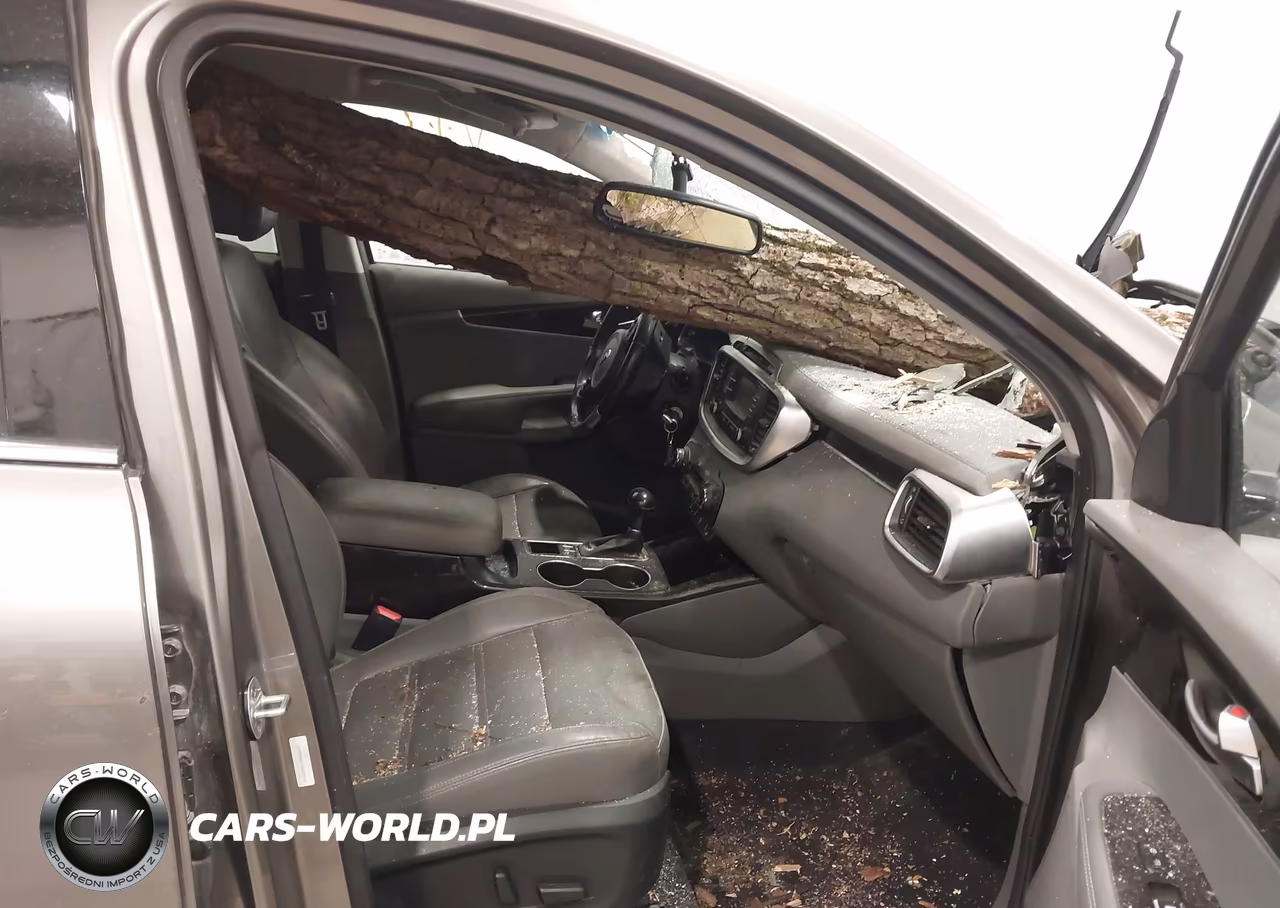 2016 Kia Sorento 2.0T Ex VIN:5XYPHDA11GG029422 - 5